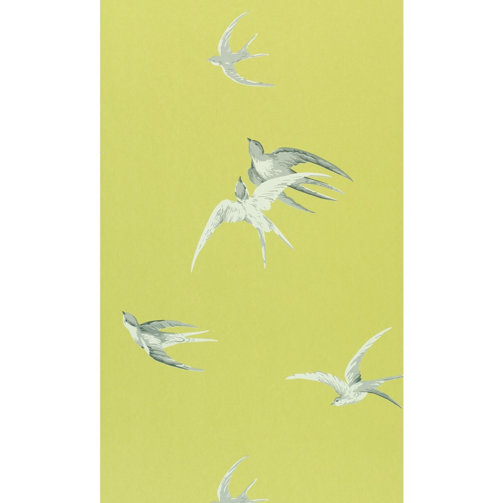 Swallows Wallpaper 101 by Sanderson in Lime Green